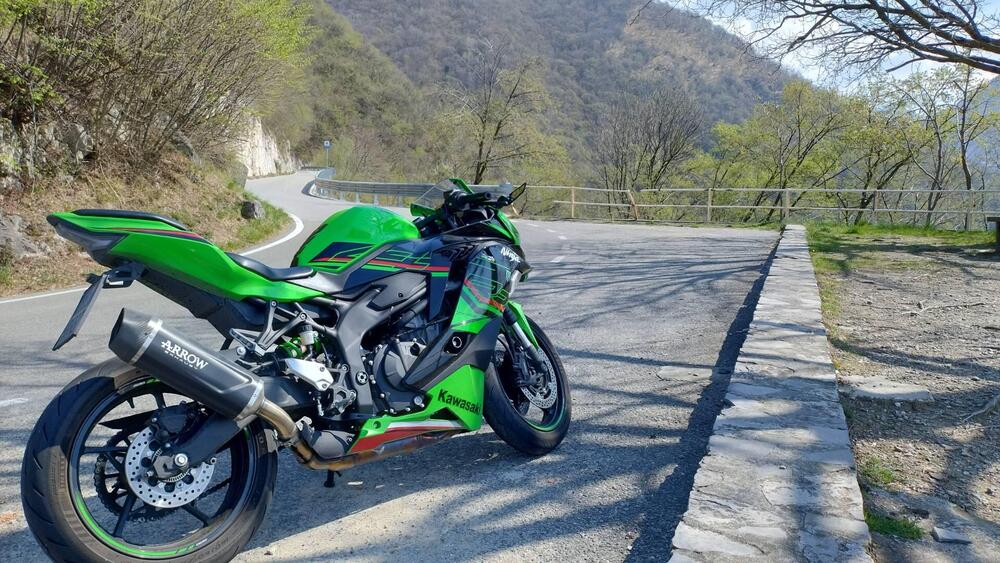 Kawasaki Ninja ZX-4RR (2024 - 26)