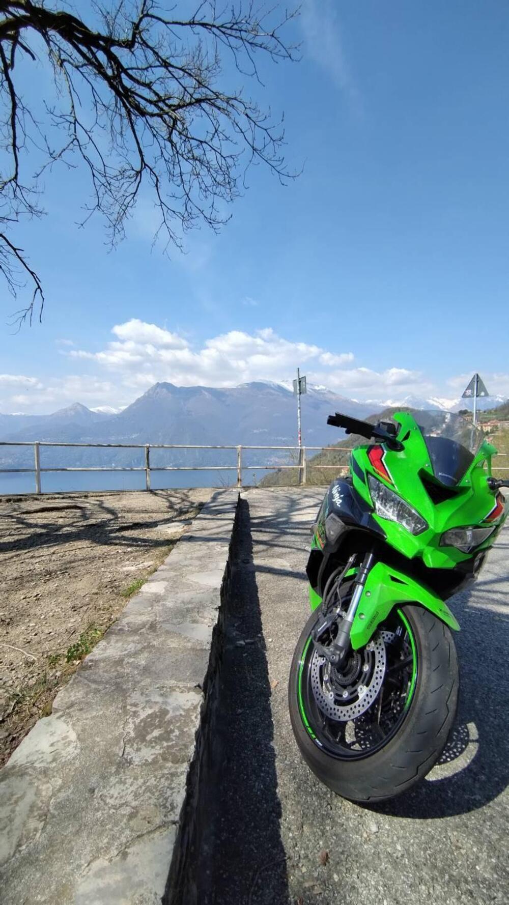 Kawasaki Ninja ZX-4RR (2024 - 26) (2)