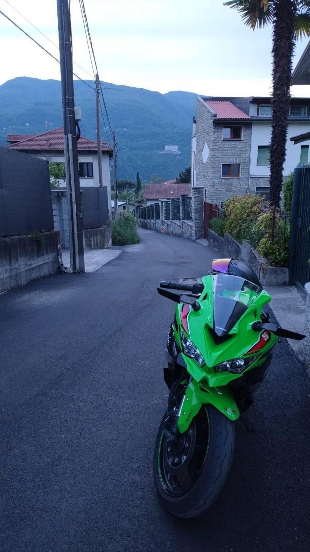 Kawasaki Ninja ZX-4RR (2024 - 26) (3)