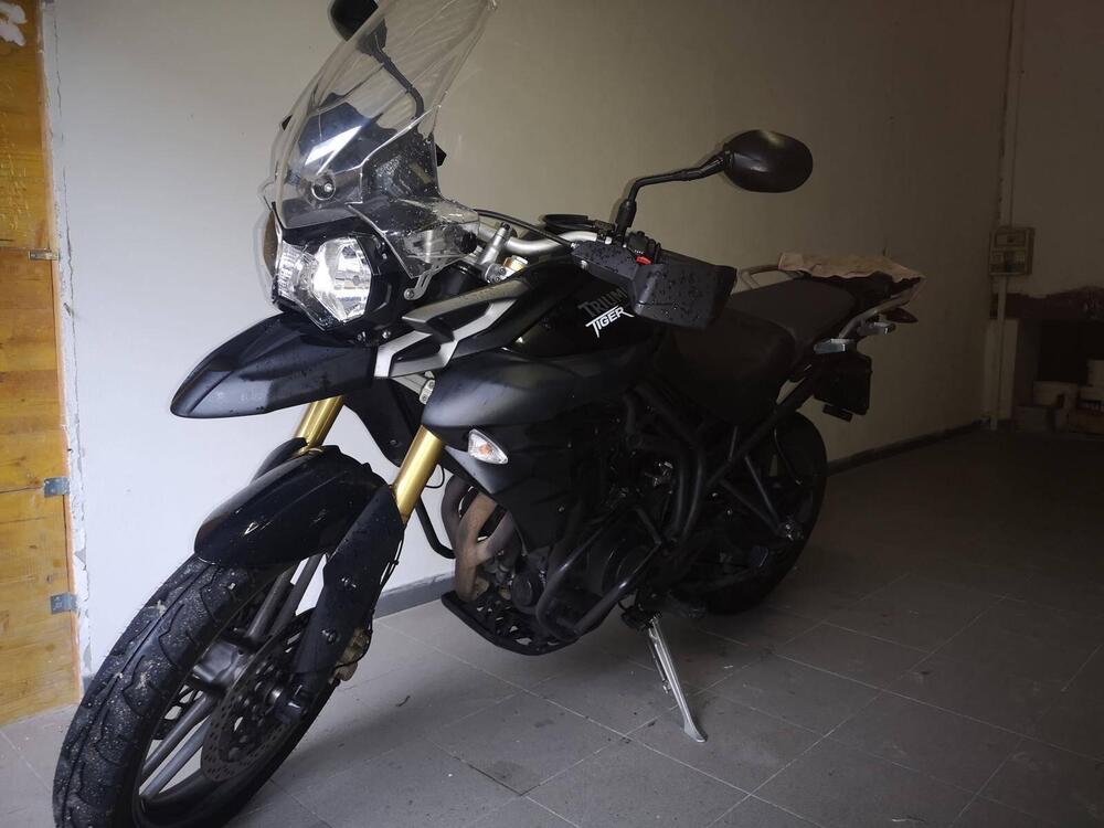 Triumph Tiger 800 ABS (2010 - 14) (6)
