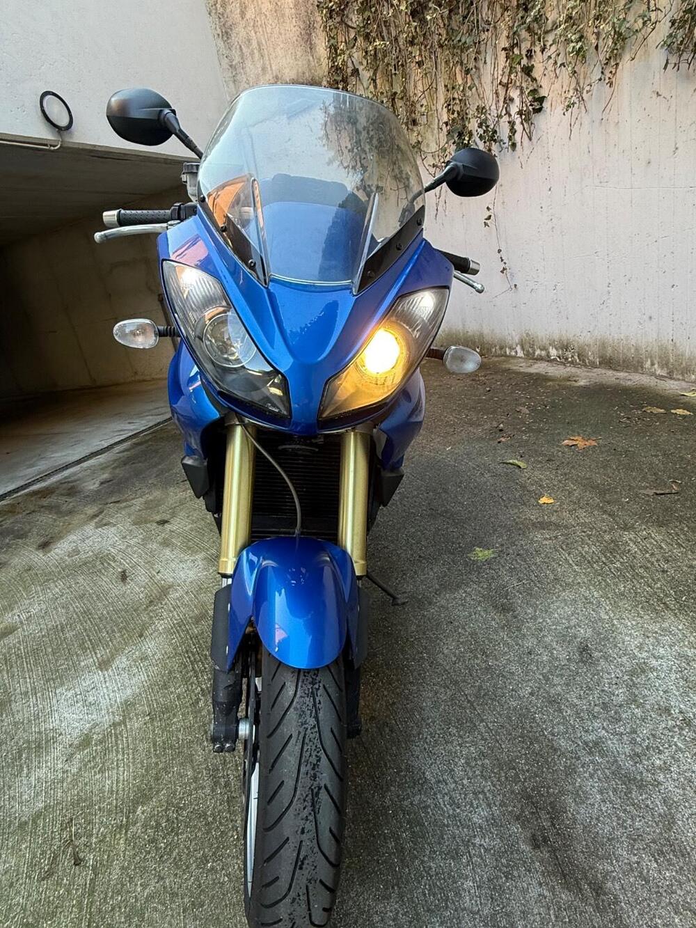 Triumph Tiger 1050 (2006 - 12) (5)