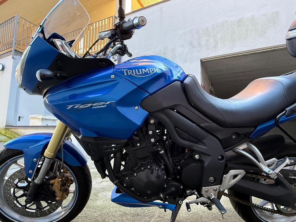 Triumph Tiger 1050 (2006 - 12) (7)