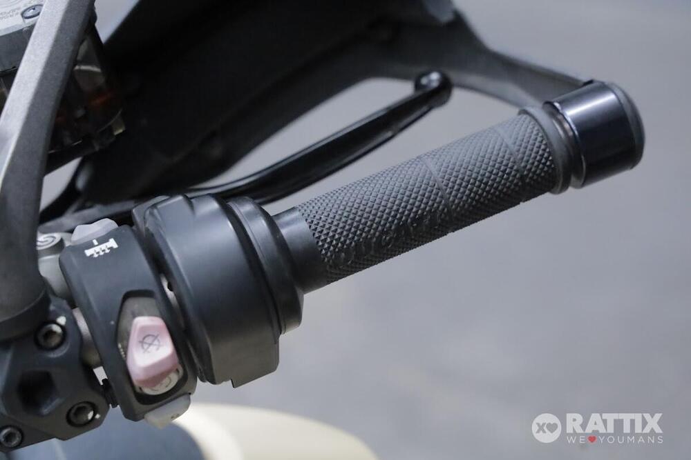 Ducati Multistrada 1260 Enduro (2019 - 21) (12)