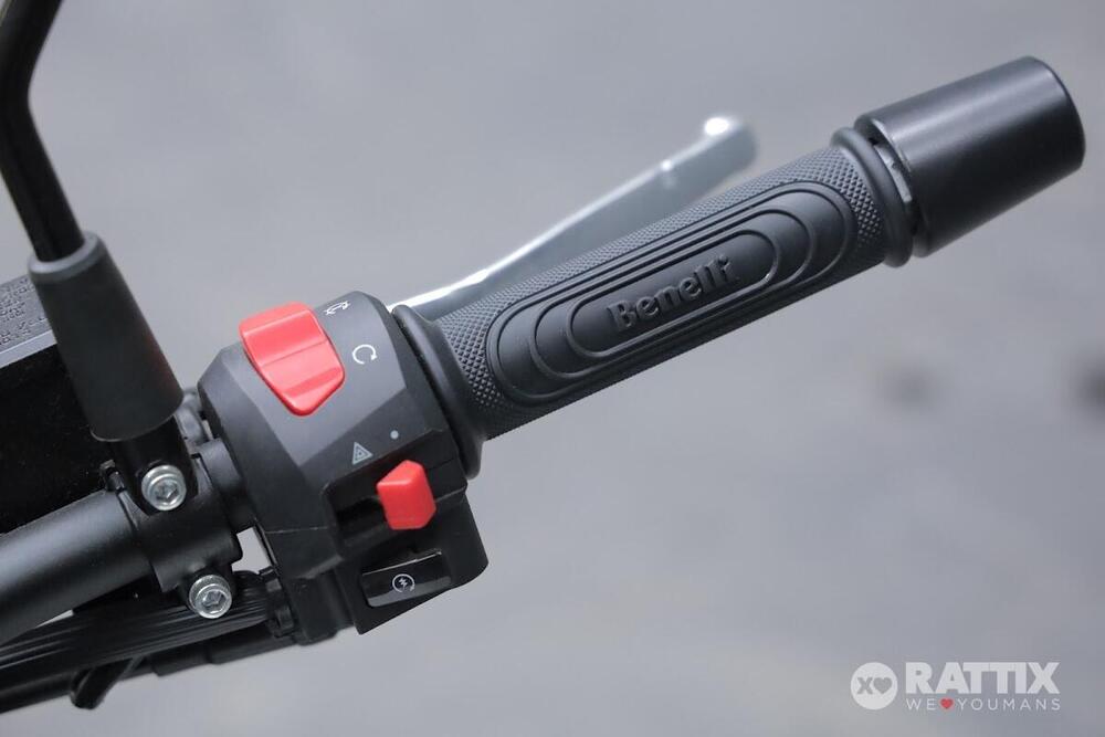 Benelli Leoncino 250 (2021 - 25) (12)