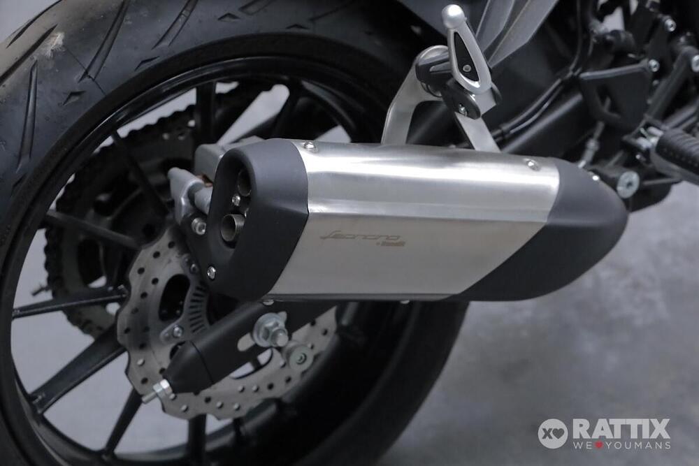 Benelli Leoncino 250 (2021 - 25) (7)