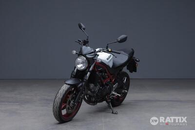 Suzuki SV650 (2021 - 24) usata