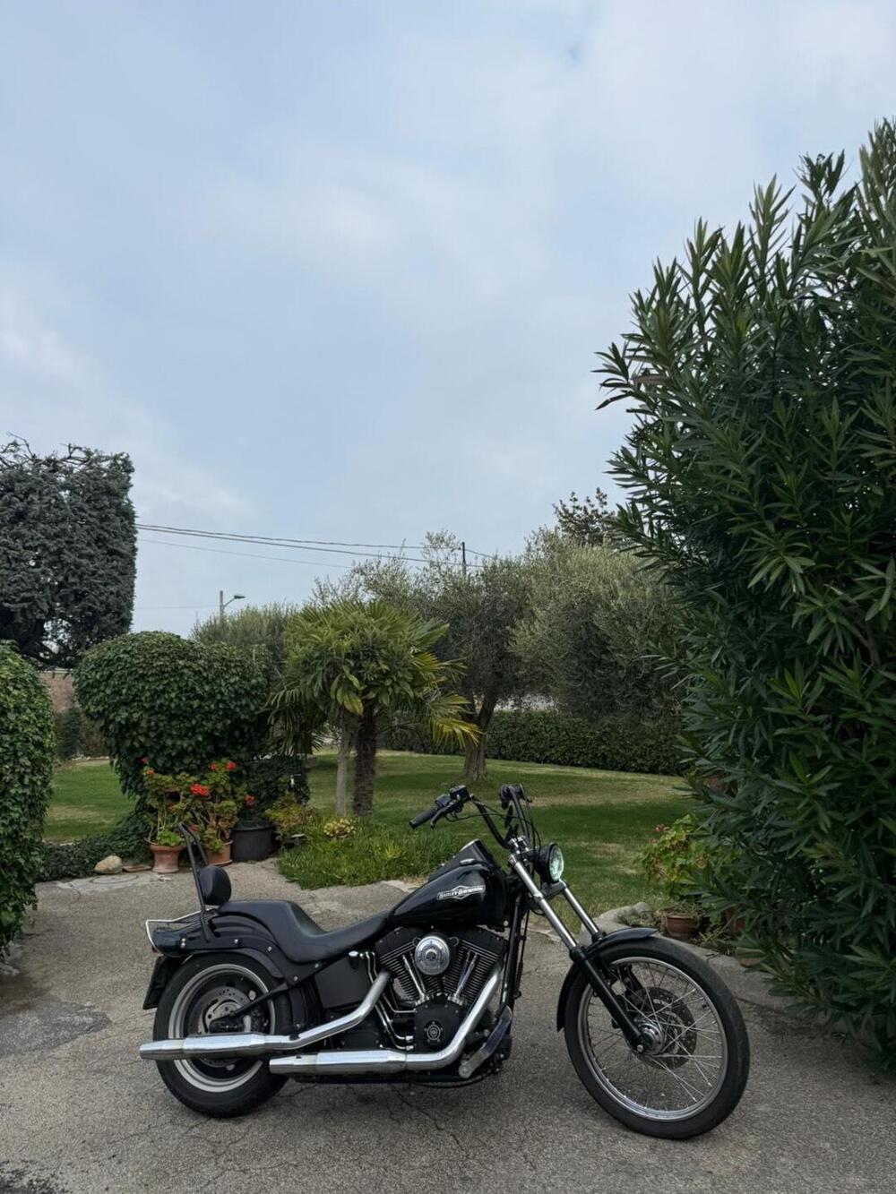 Harley-Davidson 1450 Night Train (2006 - 07) (6)