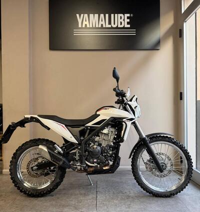 Betamotor Alp 4.0 (2024 - 25) usata