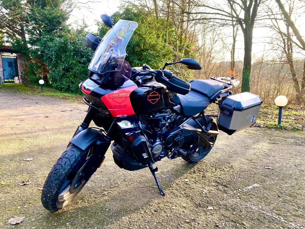 Harley-Davidson Pan America 1250 (2020 - 25)