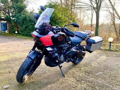 Harley-Davidson Pan America 1250 (2020 - 25) usata