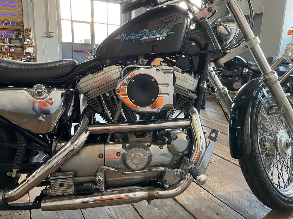 Harley-Davidson 883 Standard (1987 - 93) - XLH (4)