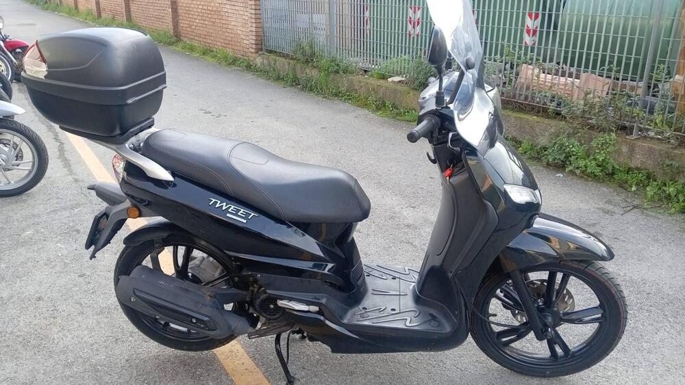 Peugeot Tweet 50 Active (2021 - 25) (2)