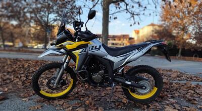 Voge Valico 300 Rally (2022 - 25) usata