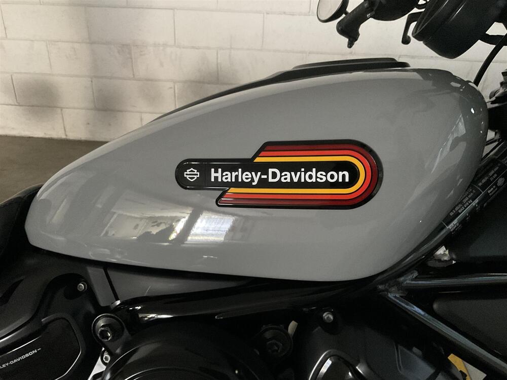 Harley-Davidson Nightster Special (2023 - 25) (4)