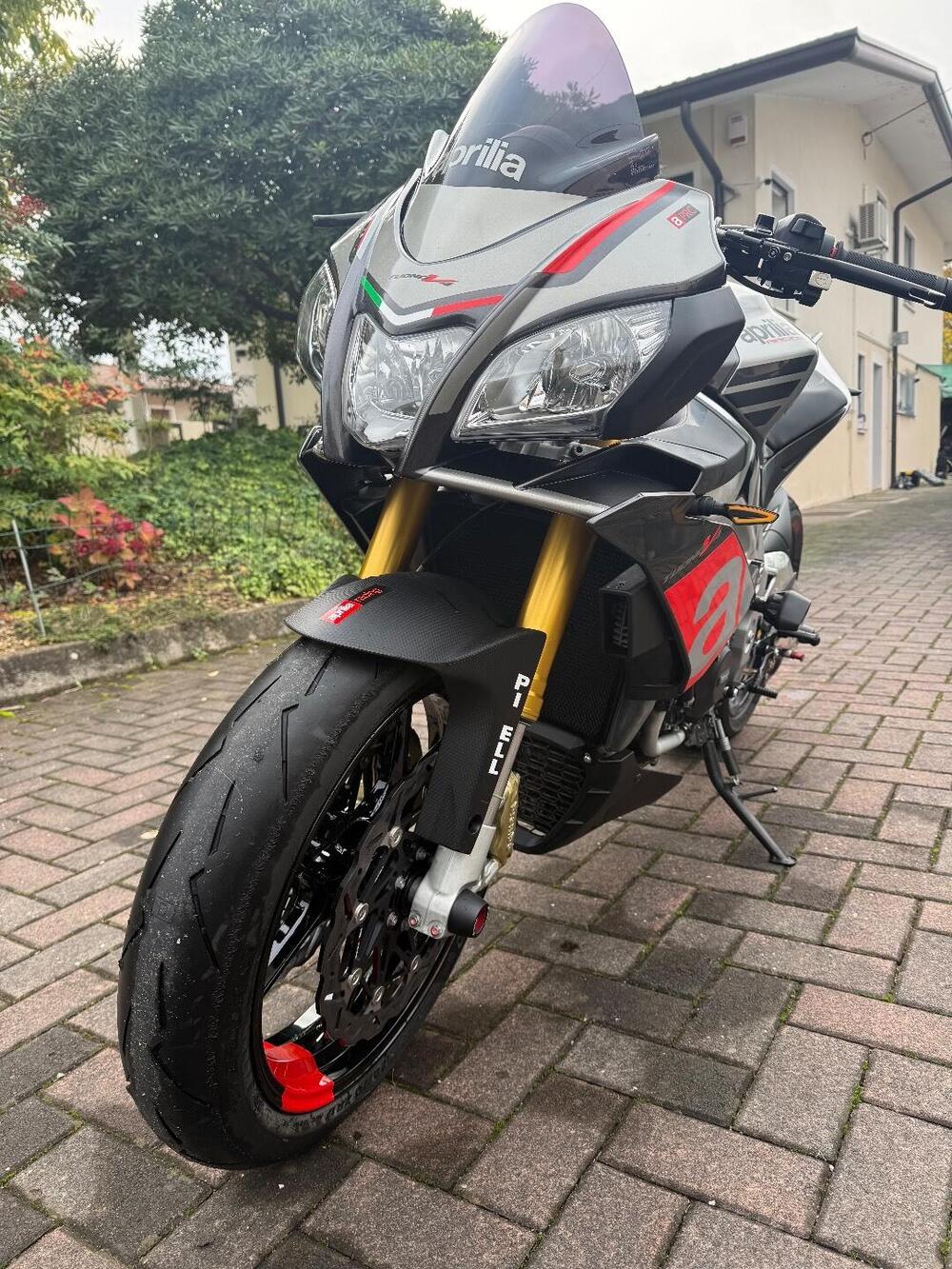 Aprilia Tuono V4 RR (2015 - 17) (4)