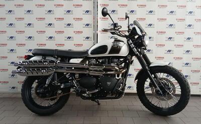 Triumph Scrambler (2006 - 17) usata