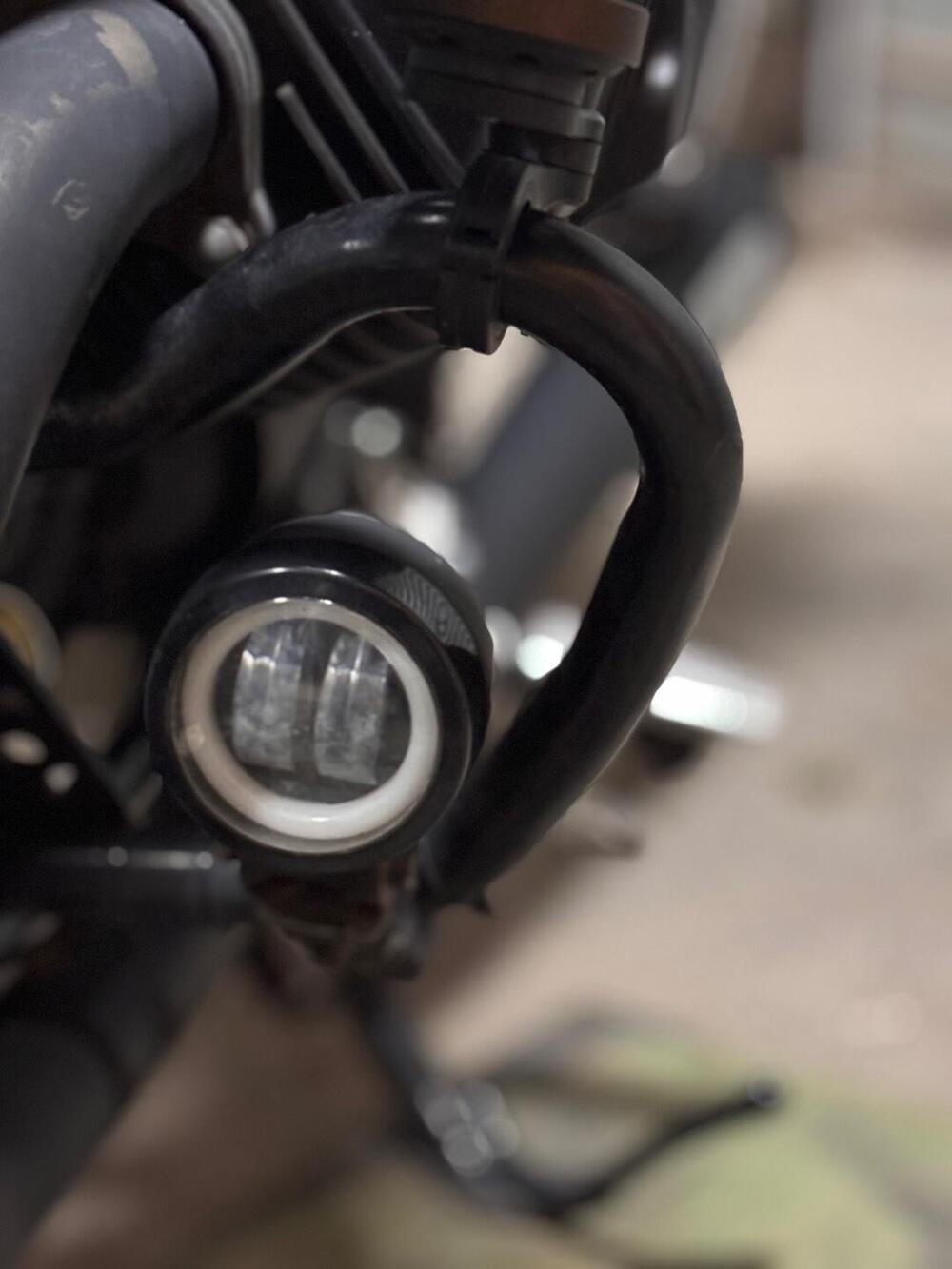 Moto Guzzi V7 III Stone (2017 - 20) (16)