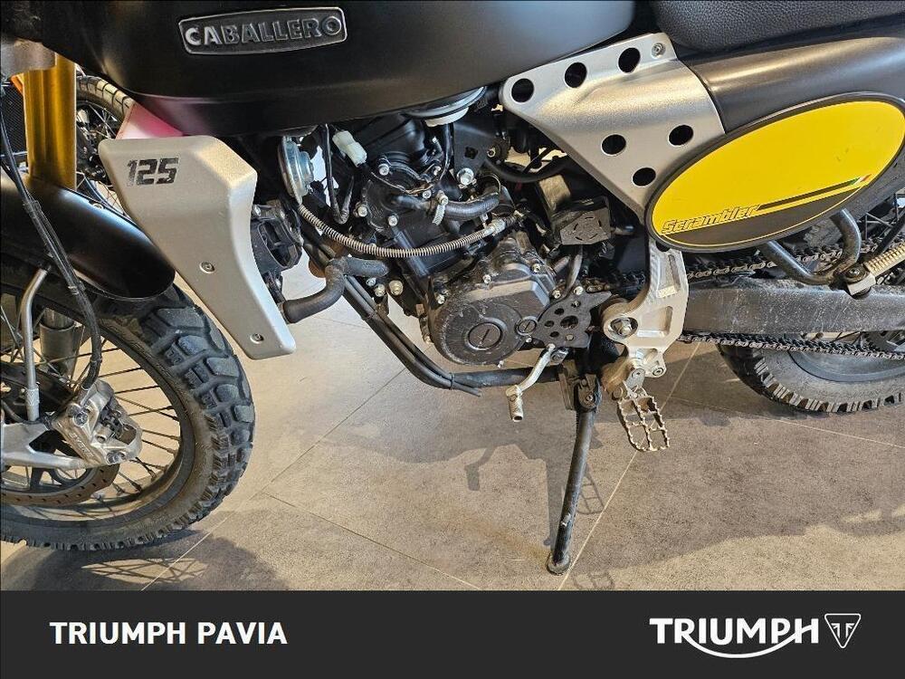 Fantic Motor Caballero 125 Scrambler (2021 - 23) (17)
