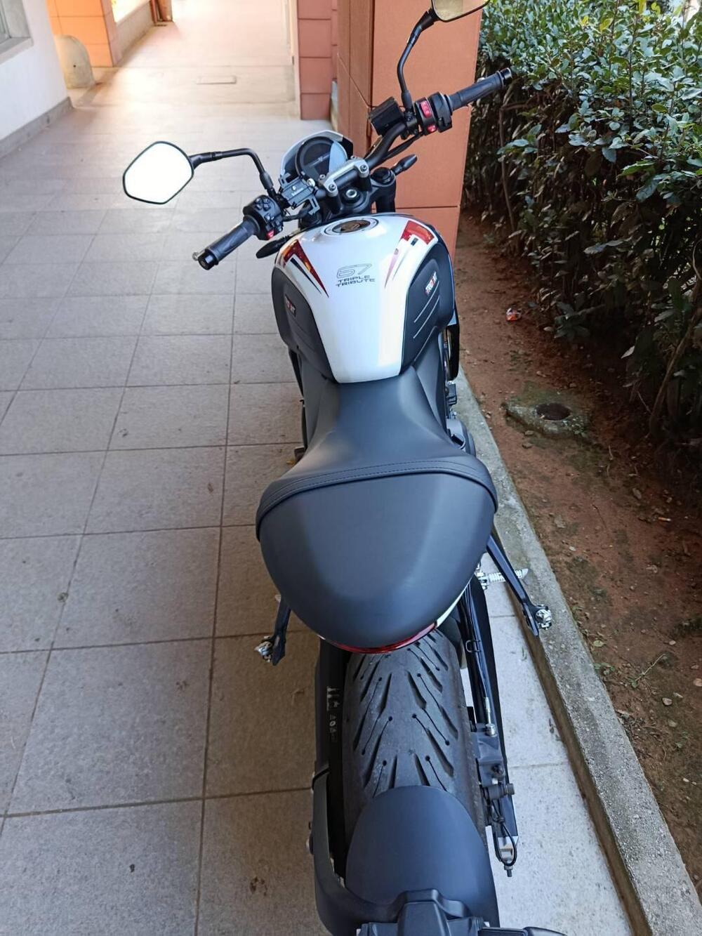 Triumph Trident 660 Triple Tribute Edition (2024) (3)