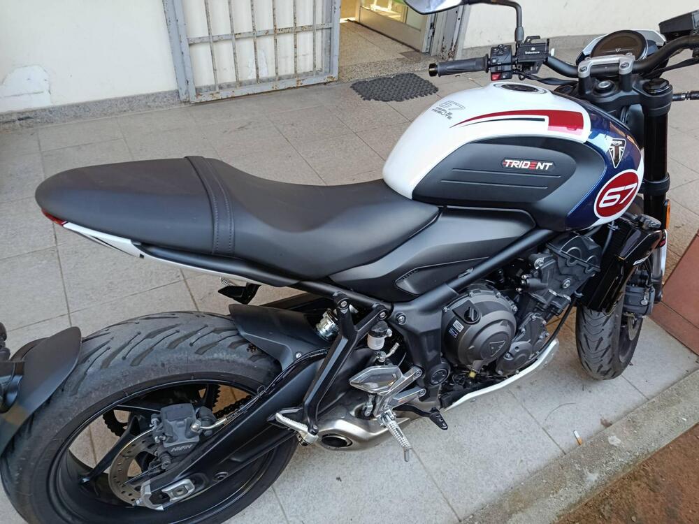 Triumph Trident 660 Triple Tribute Edition (2024) (5)