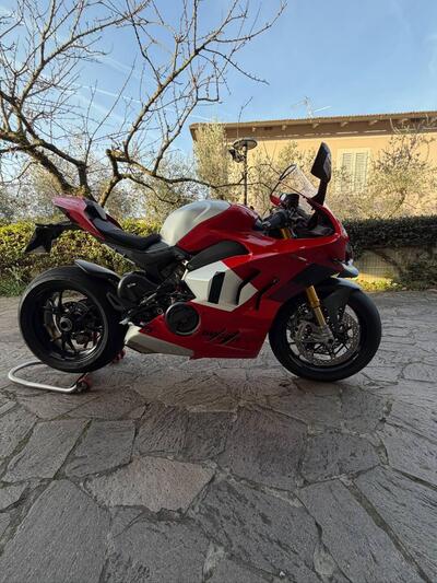 Ducati Panigale V4 R (2023 - 24) usata