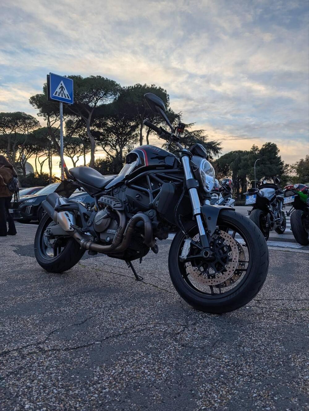 Ducati Monster 821 Dark ABS (2014 - 16) (4)