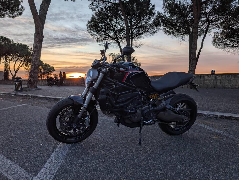 Ducati Monster 821 Dark ABS (2014 - 16) (6)