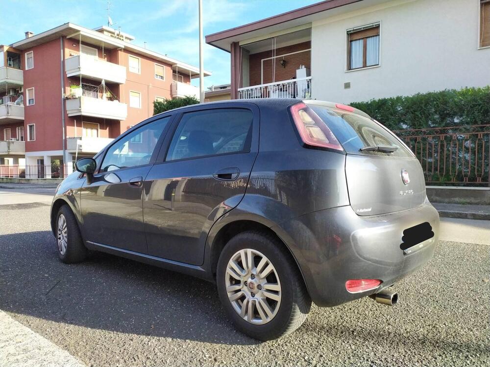 Fiat Punto usata a Verona (4)