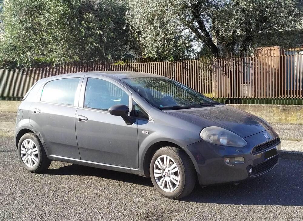 Fiat Punto usata a Verona