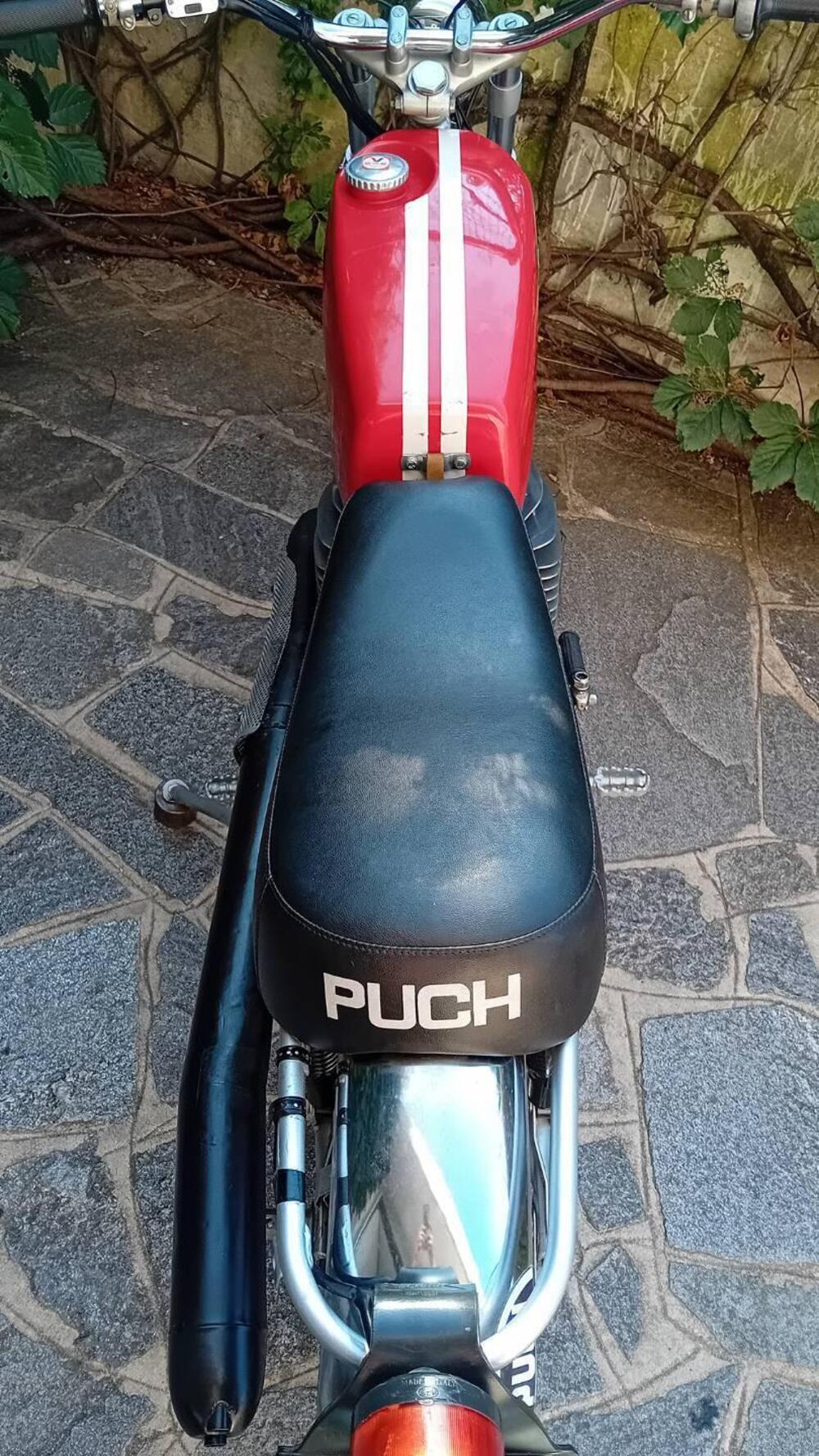 Puch MC 175 (8)