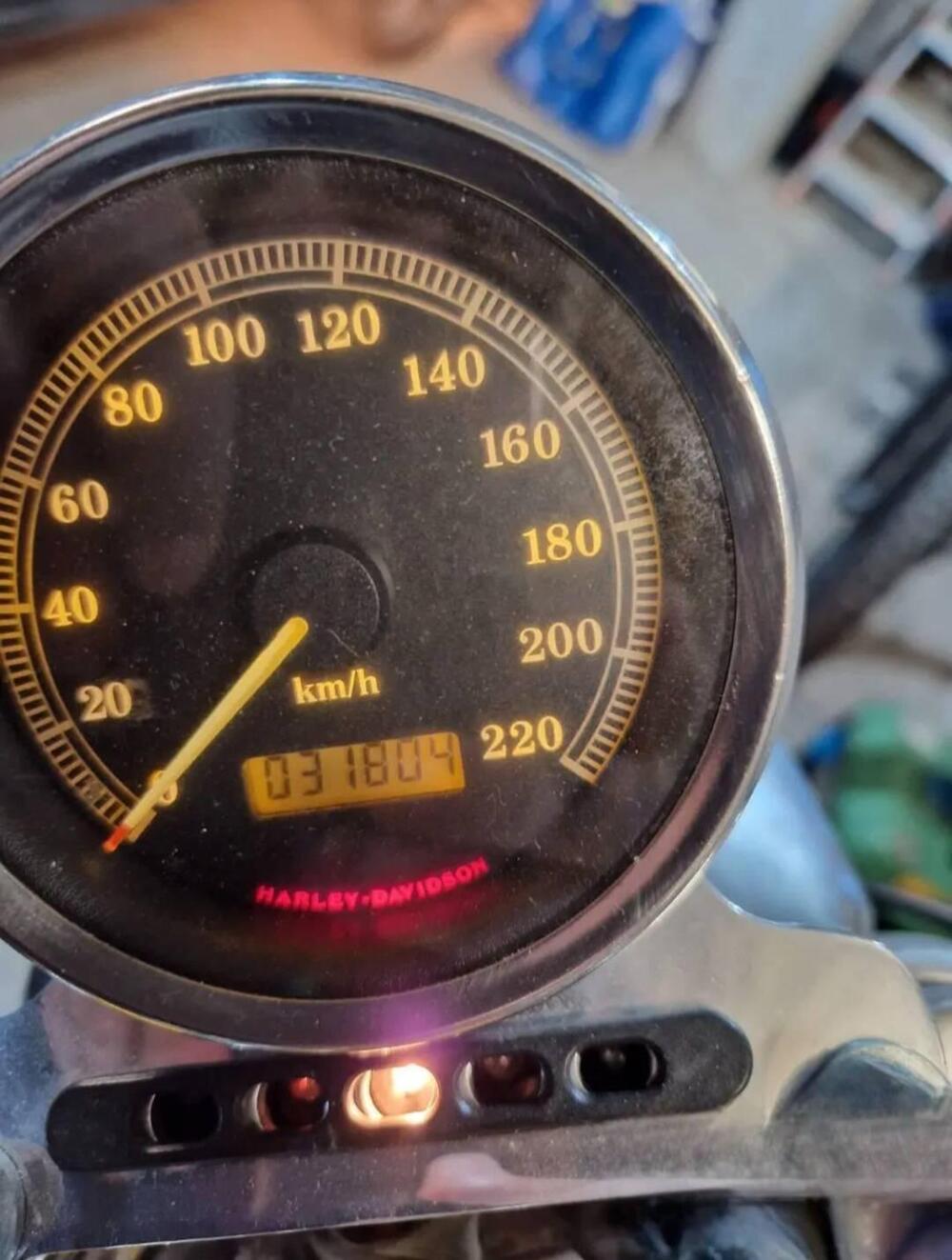 Harley-Davidson 883 Custom (1998 - 00) - XL 53C (4)