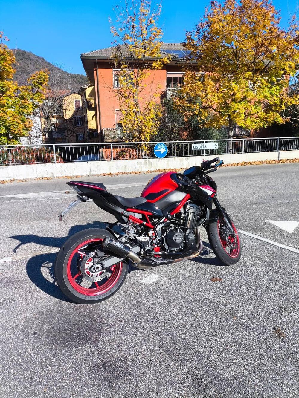 Kawasaki Z 900 (2021 - 24)