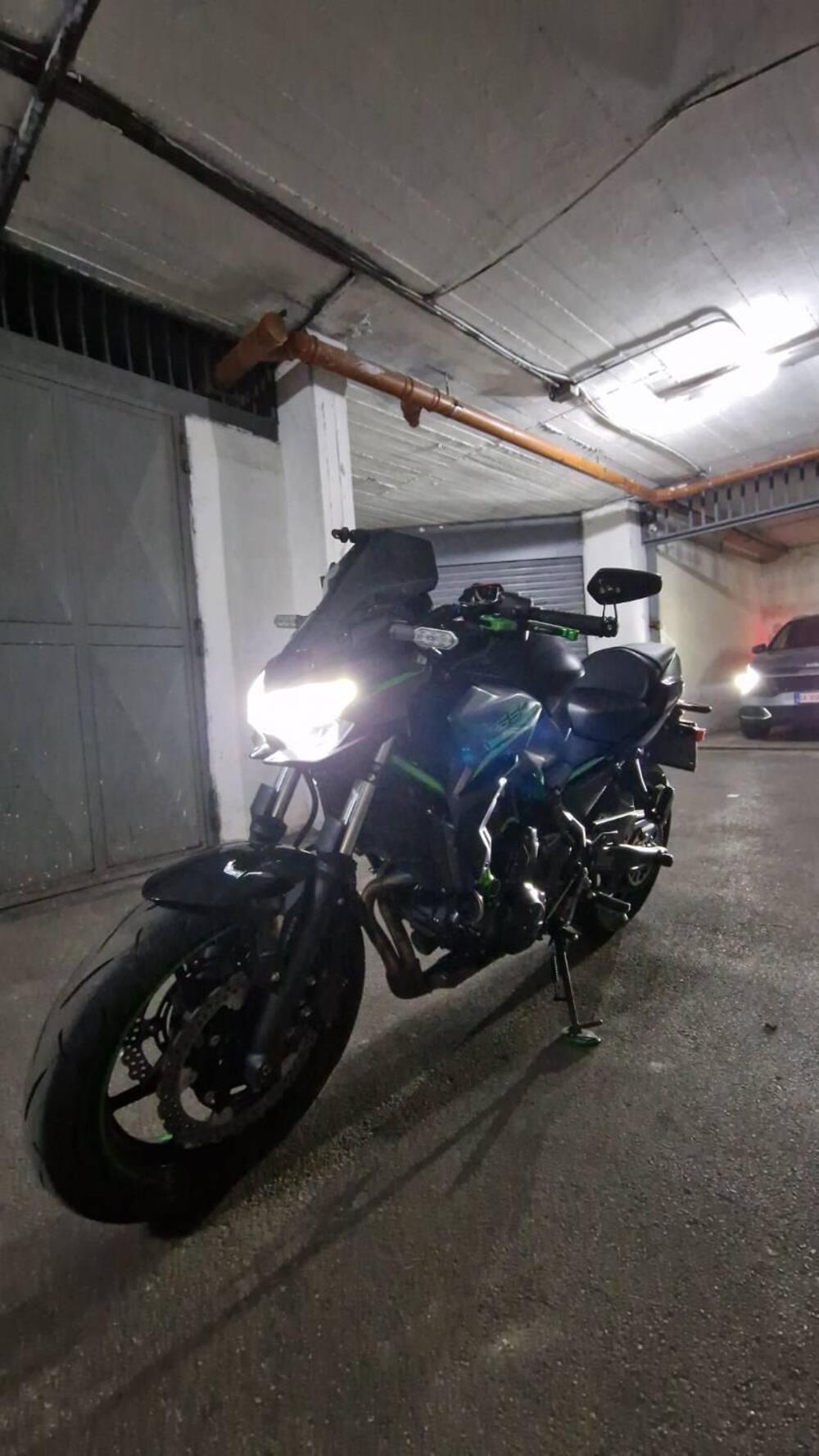 Kawasaki Z 650 Performance (2021 - 24) (3)