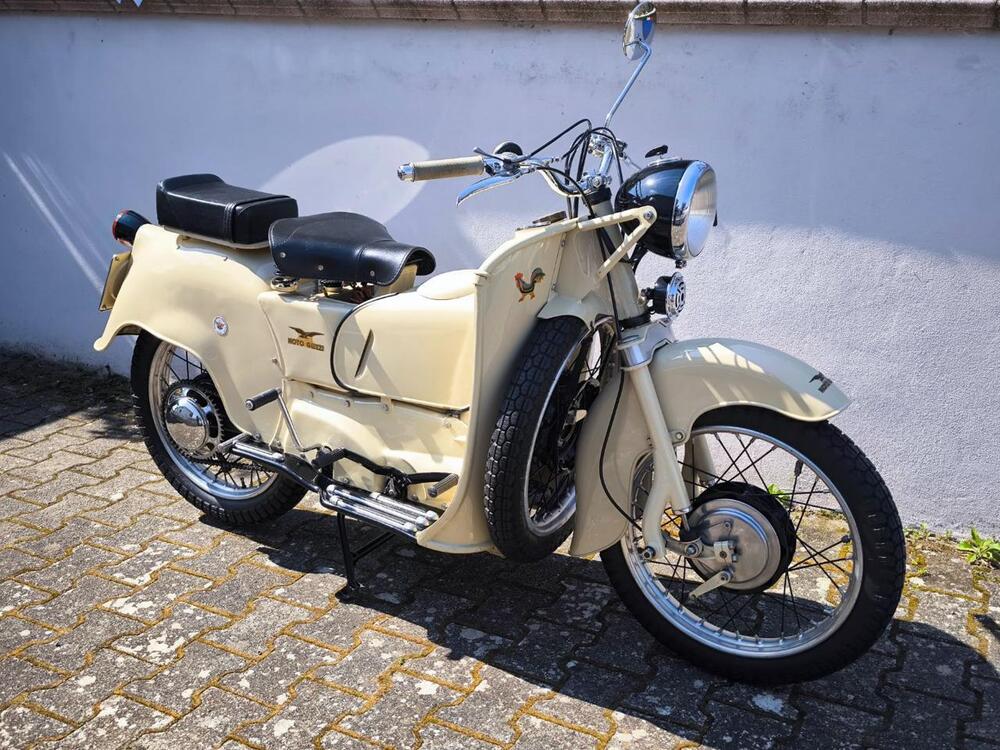 Moto Guzzi Galletto 192 (3)