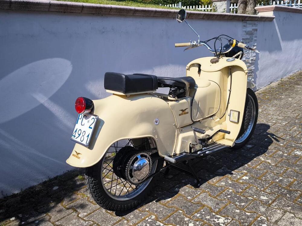 Moto Guzzi Galletto 192 (19)