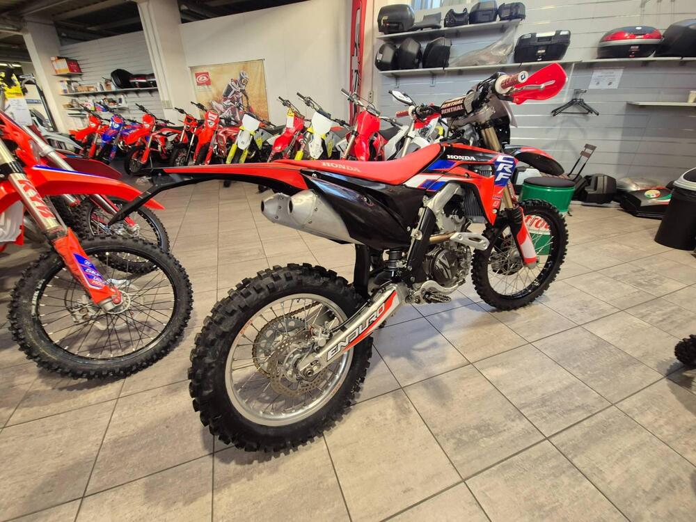 Honda CRF 250 RX Enduro (2019) (4)