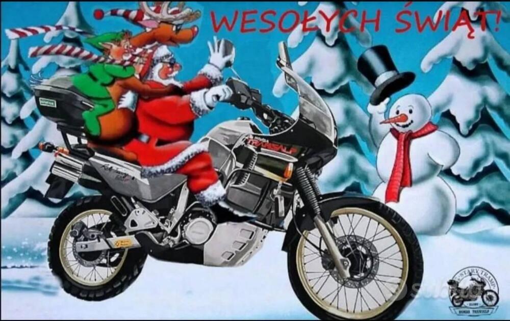 Honda Transalp XL 600V (1991 - 93) (5)