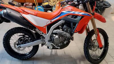 Honda CRF 300 L (2021 - 24) usata