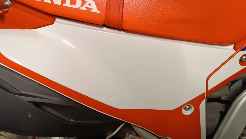 Honda CRF 300 L (2021 - 24) (6)