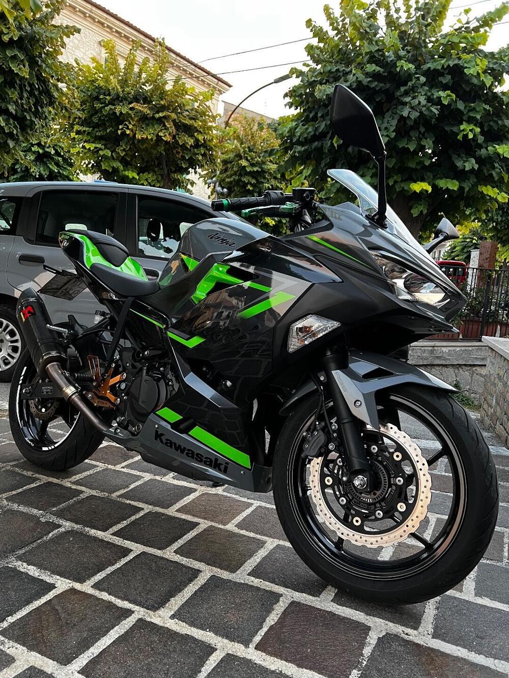 Kawasaki Ninja 400 (2018 - 20) (3)