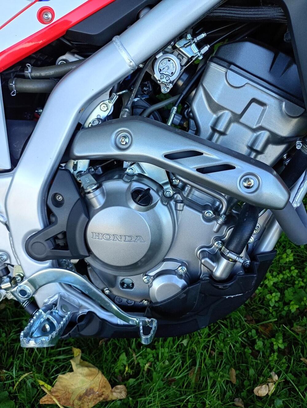 Honda CRF 300 L (2021 - 24) (4)