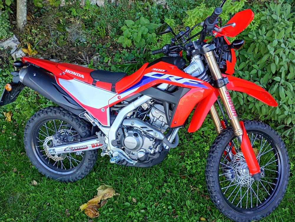 Honda CRF 300 L (2021 - 24) (5)
