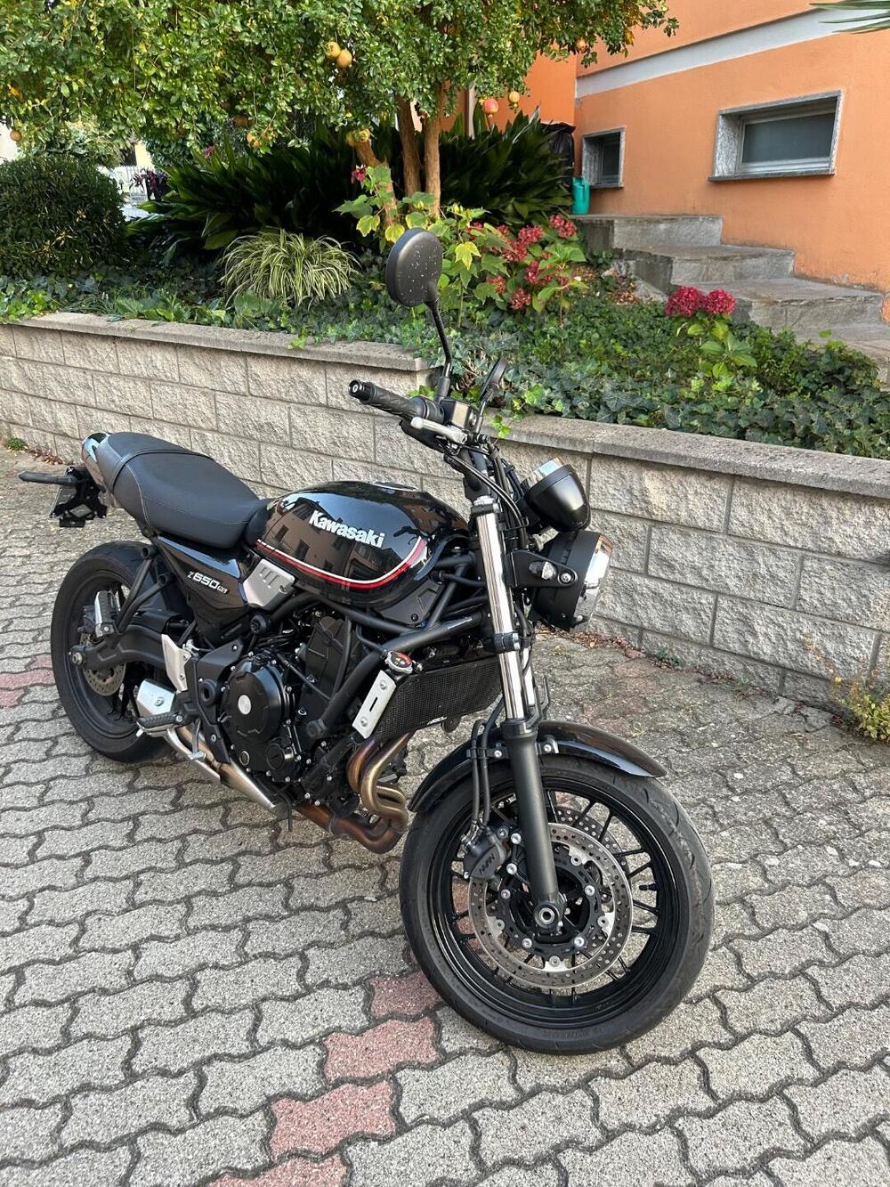 Kawasaki Z 650 RS (2022 - 24) (2)