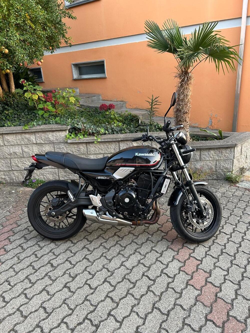 Kawasaki Z 650 RS (2022 - 24) (3)