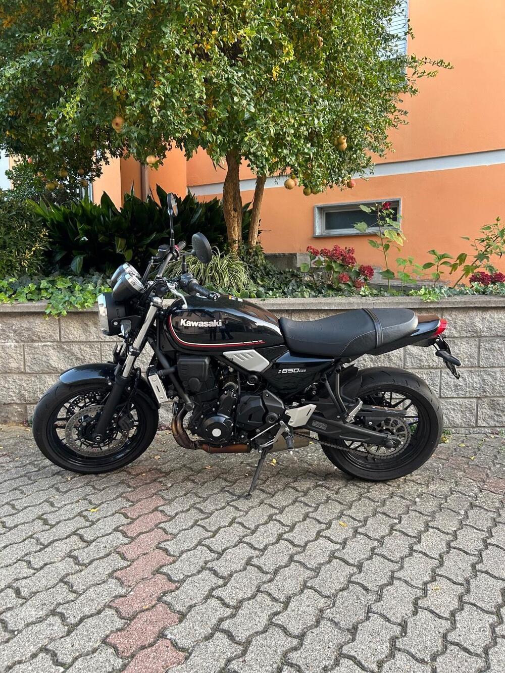 Kawasaki Z 650 RS (2022 - 24) (5)