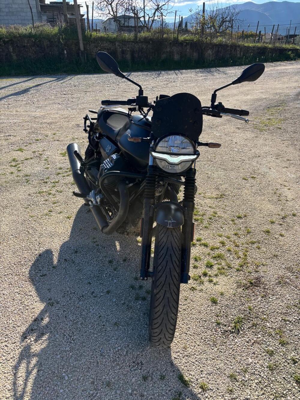 Moto Guzzi V7 Stone (2021 - 24)