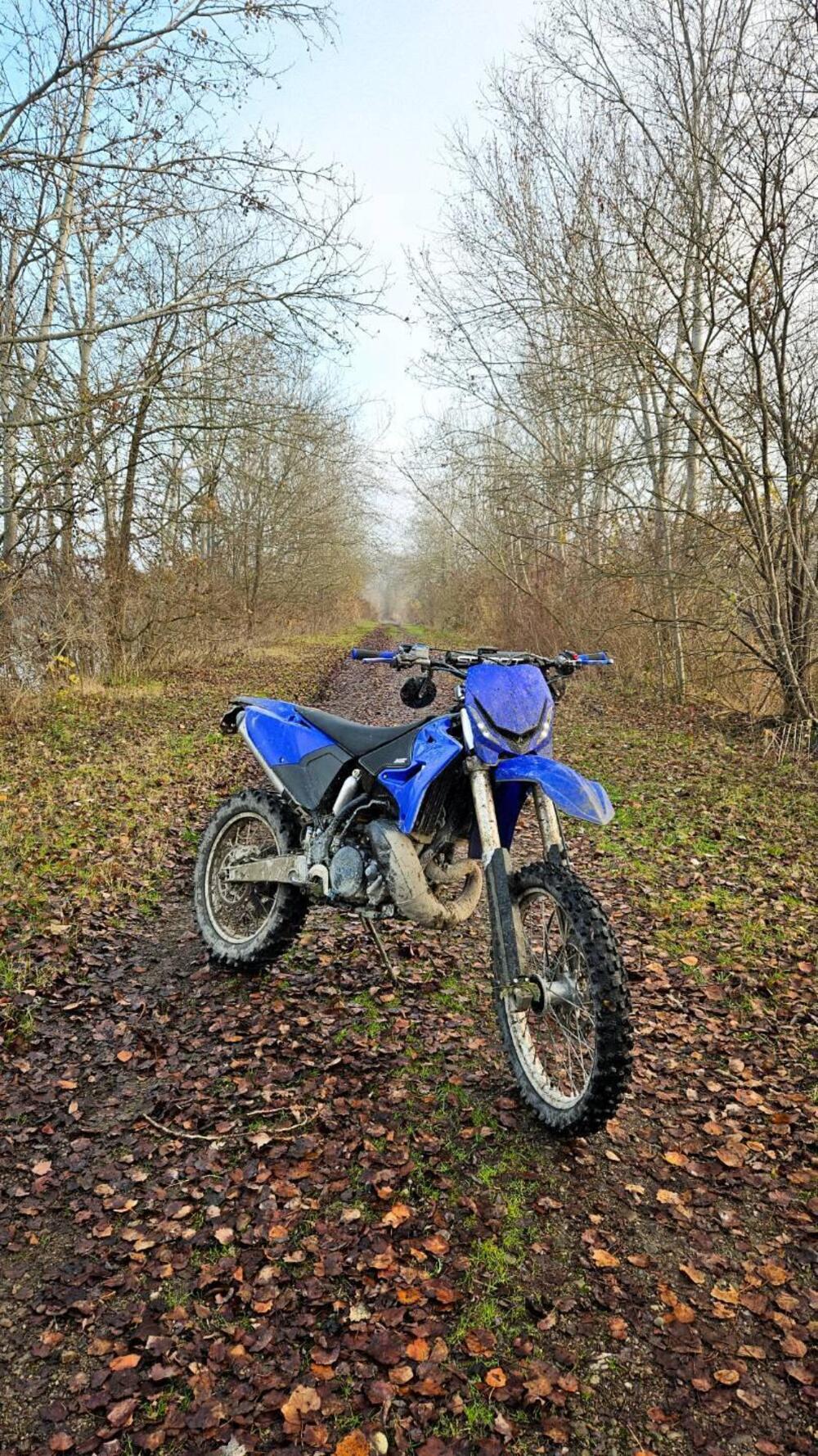 Yamaha YZ 250
