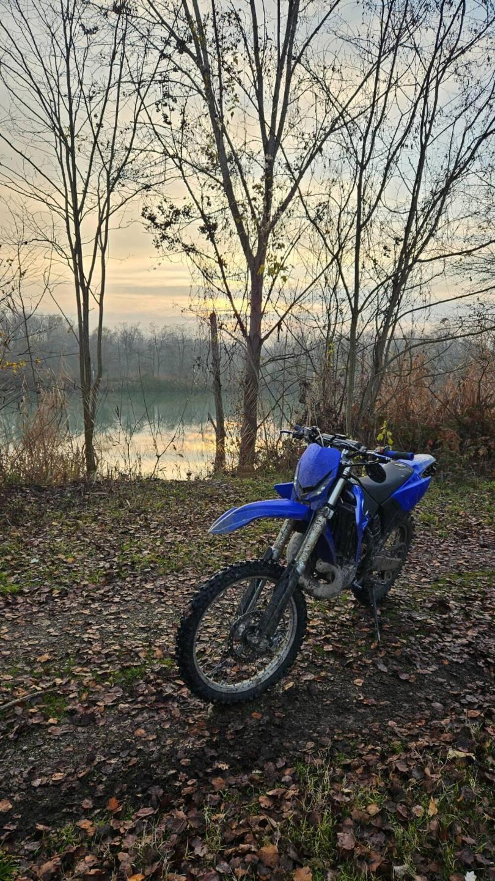 Yamaha YZ 250 (3)