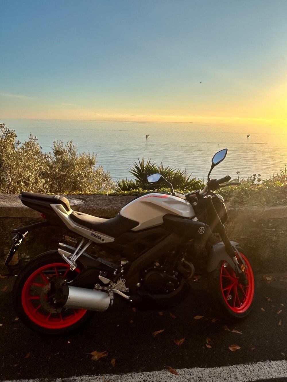 Yamaha MT-125 ABS (2017 - 19)