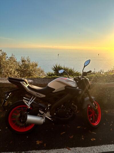 Yamaha MT-125 ABS (2017 - 19) usata